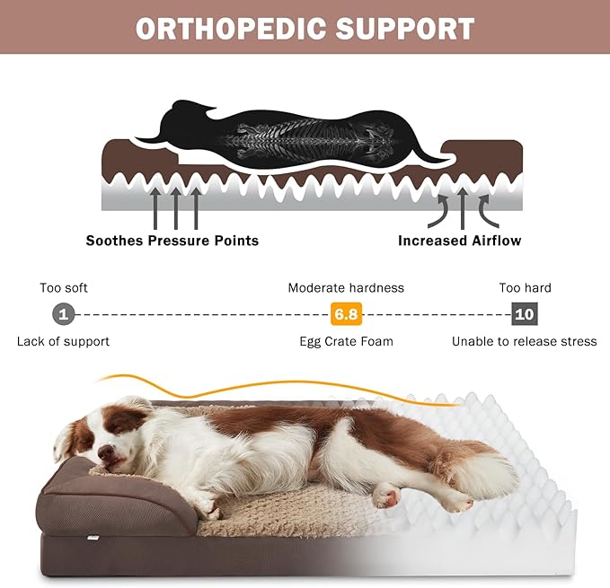INVENHO Orthopedic Medium Dog Dogs, Egg-Crate Foam Dog Couch with Washable Removable Cover, Waterproof Lining and Nonskid Bottom