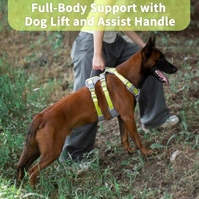 Huntboo Reflective Dog Harness with Handle, Escape Proof, No Slip, Breathable, Lightweight, Adjustable Lift Harness for Small, Medium, and Large Dogs Walking, Training,and Running Gear(Bright Green,L)
