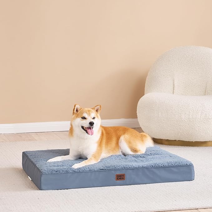 EHEYCIGA Orthopedic XXL Dog Beds for Jumbo Dogs with Removable Washable Cover,Spa Blue, 50x36
