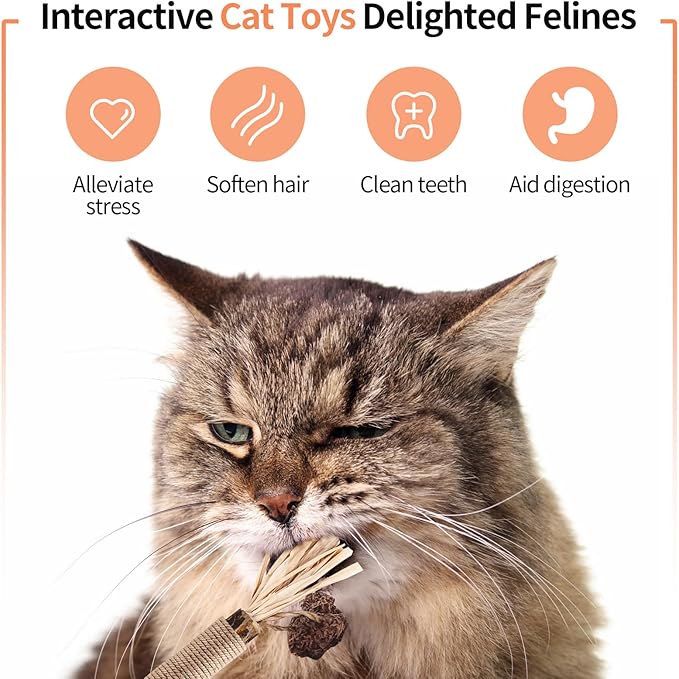Cat Toys, 6 Silvervine Chew Sticks & 1PCS Organic Catnip & 1PCS Silvervine Powder, Cat Dental Toys for Kitten Teeth Cleaning, Matatabi Cat Toy