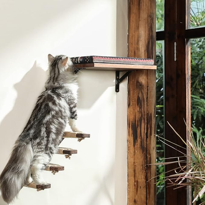 FUKUMARU Floating Wall Shelf with Cat Faux Lamb Mat, 0.79 Inch Thick Solid Rubber Wood Hanging Shelves, 15.7 x 10 Inch (Walnut Shelf with Kitten Memory Foam Pad)