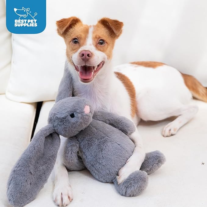 Best Pet Supplies Interactive Squeaky Dog Chew Toy, Ideal Dog Toys for Chewers, Small, Medium & Large Dogs, and Fetch Lovers - Bunny (Gray), Large