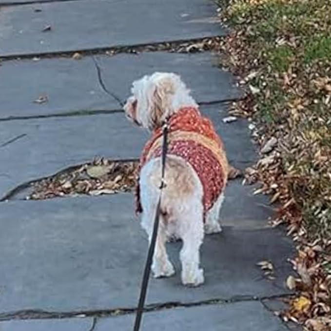 KYEESE Dog Sweater Color Block Dog Sweaters for Medium Dogs Boy with Fuzzy Thread Knitted Turtleneck Medium Pet Sweater Knitwear Pet Sweater Fall Winter Dogs Clothes, Brown, XL