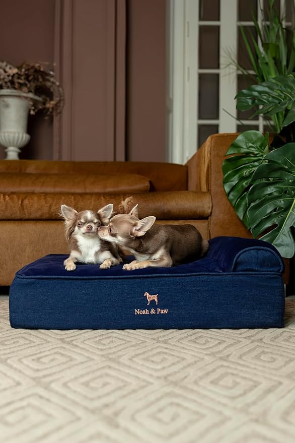 NOAH & PAW Dog Bed, 28x23x7.5 Inch, Orthopedic Dog Beds for Medium Size Pets, Eggshell Memory Foam Infused with Cooling Gel, Waterproof, Machine Washable, Includes Inner Cover (Denim Collection)
