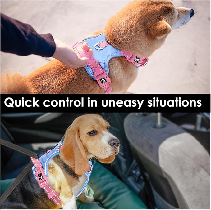 PHOEPET No Pull Dog Harness, Unique Colors Reflective Adjustable Dog Vest, with Soft Training Handle Metal Clips for Small Medium Large Dogs (Baby Blue Base & Pink Straps,M)