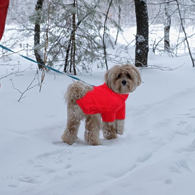 Queenmore Small Dog Pullover Sweater, Cold Weather Cable Knitwear, Classic Turtleneck Thick Warm Clothes for Chihuahua, Bulldog, Dachshund, Pug (Red, Medium)