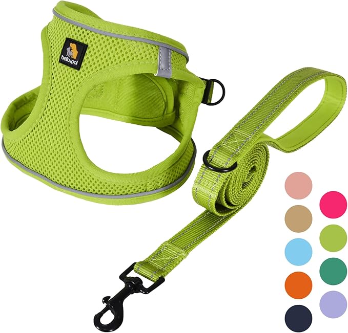 BELLA & PAL Step in Vest Harness for Small and Medium Dogs, No Pull Small Dog Harness with Leash Set, Comfortable Air Mesh Dog Vest Harness with Reflective Strip (Avocado Green, L)
