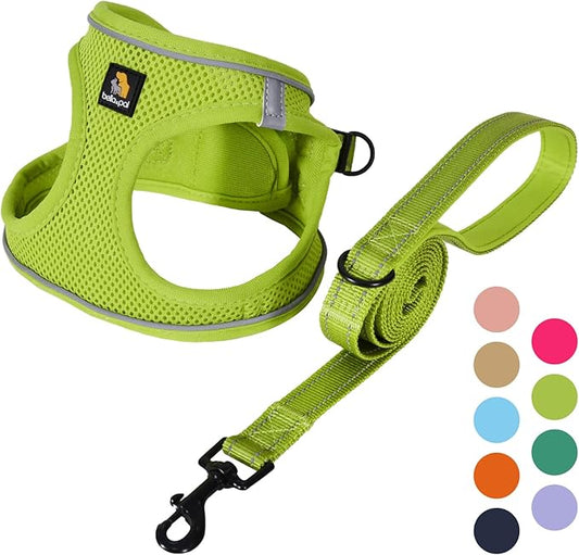 BELLA & PAL Step in Vest Harness for Small and Medium Dogs, No Pull Small Dog Harness with Leash Set, Comfortable Air Mesh Dog Vest Harness with Reflective Strip (Avocado Green, XXS)