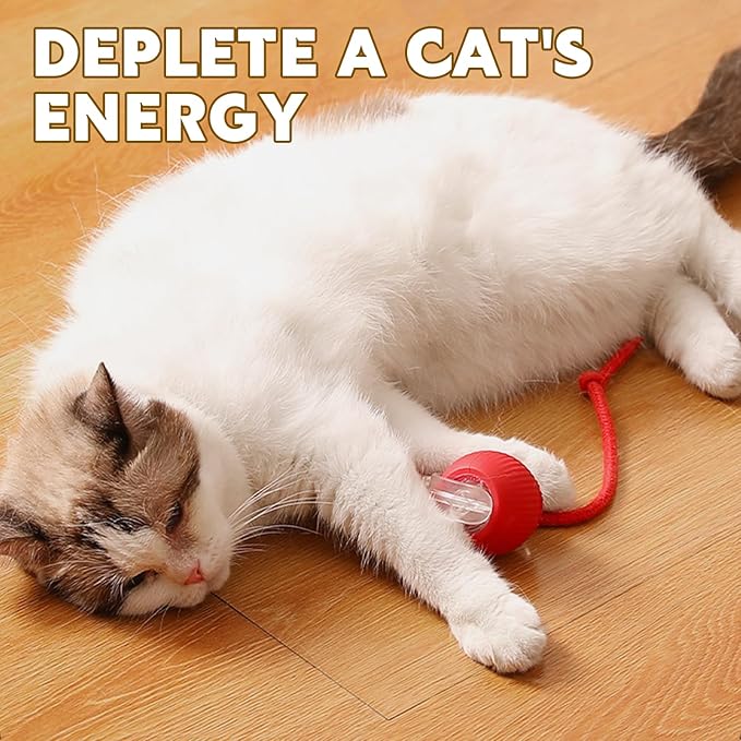 Chewie Viral Rolling Pet Ball, Interactive Cat & Dog Toy, 360 Smart Automatic Rolling Ball (Grey)