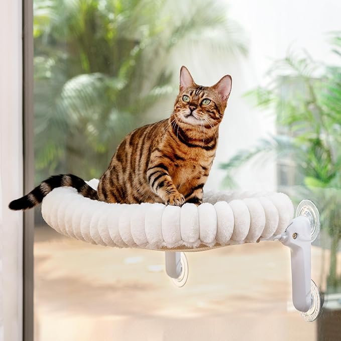 Sunhoo Cat Window Perch Bed Foldable Kitty Windowsill Hammock Shelf Seat Large Cats Suction Cup Indoor Kitten Window Sill Lounger with Soft Plush Cushion Machine Washable 21.26 * 11.8in (White, M)
