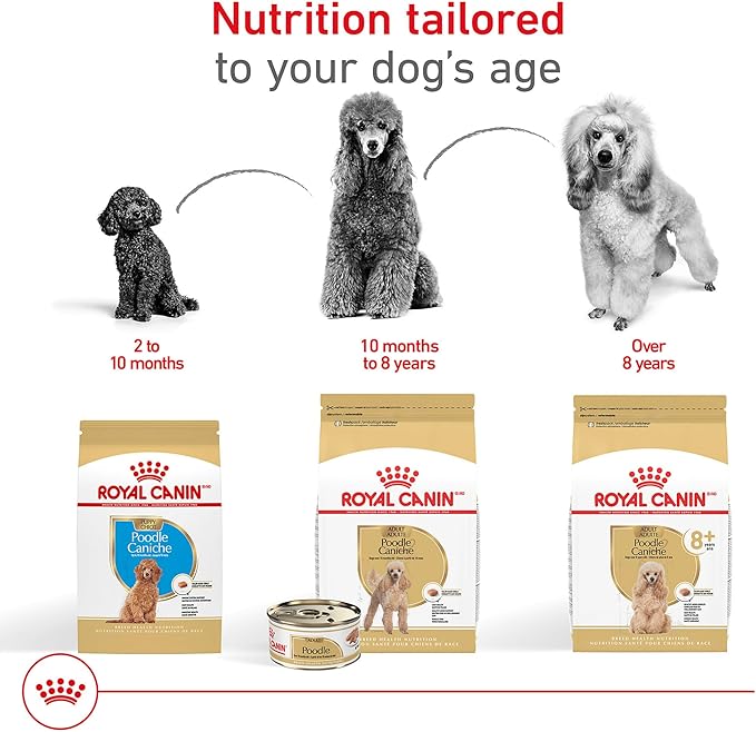 Royal Canin Breed Health Nutrition Poodle Adult Dry Dog Food, 10 lb Bag