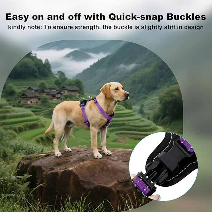Plutus Pet Adjustable No Pull Dog Harness with Leather Accents, Heavy Duty Reflective Nylon Vest for Training, Hiking, Easy Walk Harness for Small, Medium, Large Dogs (Purple, S)