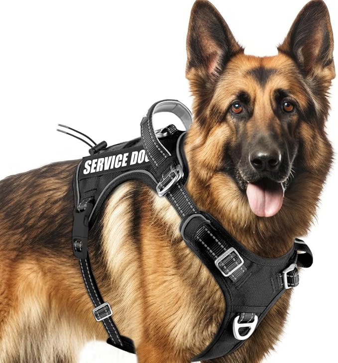 BARKBAY Service Dog Vest Tactical Dog Harness Medium Large Sized Dog Tags Personalized No Pull Adjustable Harness Reflective K9 Working Training Easy Control Military Molle System(Black,L)