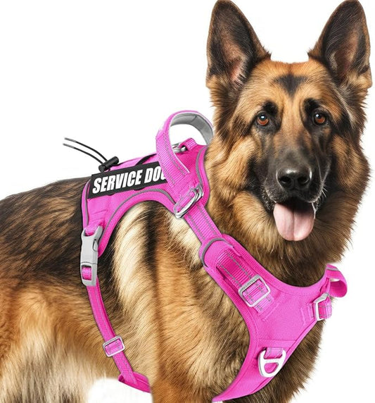 BARKBAY Service Dog Vest Tactical Dog Harness Medium Large Sized Dog Tags Personalized No Pull Adjustable Harness Reflective K9 Working Training Easy Control Military Molle System(Pink,L)