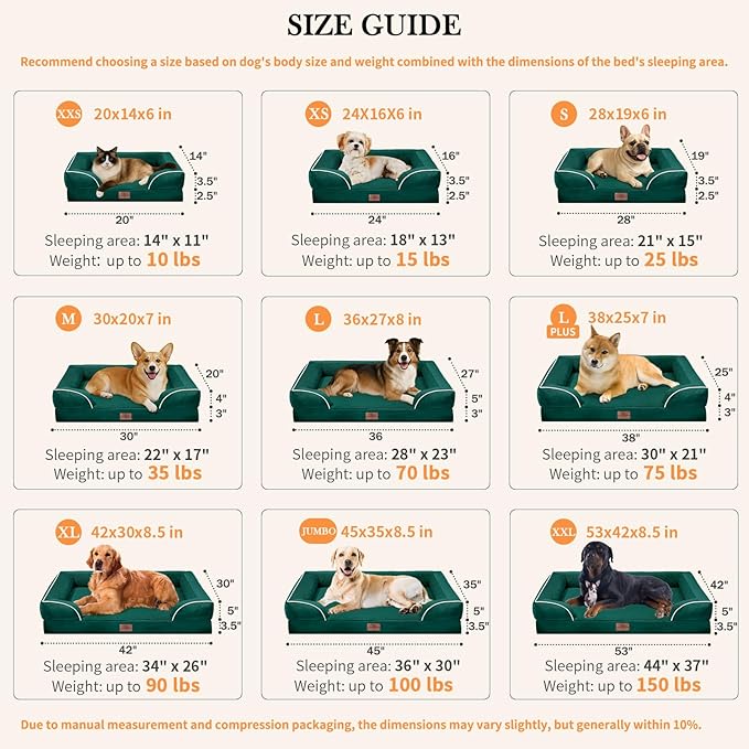 Comfort Expression Orthopedic Dog Bed for Large Dogs 36x27 Inch, Waterproof Supportive Egg Crate Foam Large Pet Bed with Removable Bolsters, Dog Couch with Washable Cover & Non-Slip Bottom, Emerald