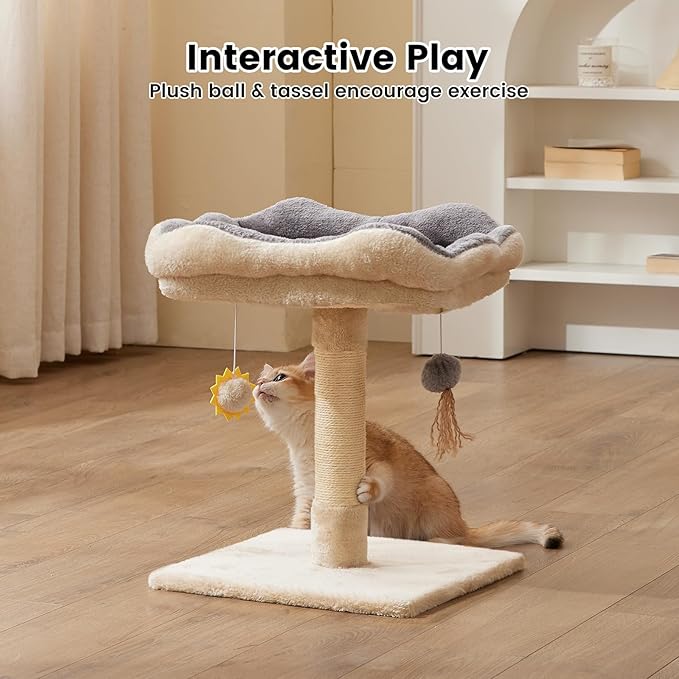 Gardner Pet 20" Cat Tree, Solid Wood Small Cat Tree, Removable Bed, Sisal Scratching Post & Hanging Toys, Compact Cat Tower Perch for Kittens & Indoor Cats (Beige, Square)