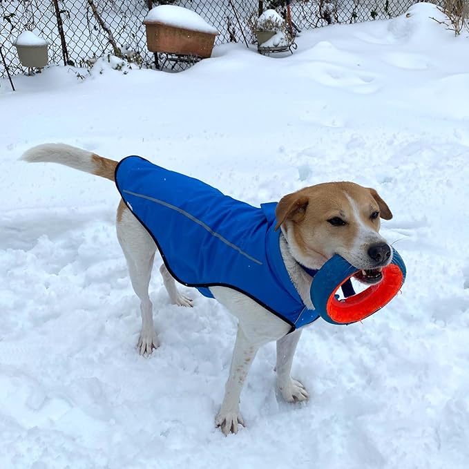 Mile High Life Dog Raincoat, Adjustable Waterproof Reflective Rain Jacket for Small Medium Large Dogs, Lightweight Breathable Pet Rain Coat with Leash Hole(Blue,XXS Chest 16-19")