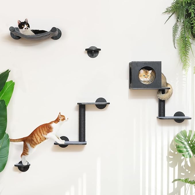 FUKUMARU Cat Wall Shelves, 5-Piece Stable Wooden Wall-Mounted Furniture Set, Kitty Climber with Hammock, House, Steps, Scratching Post (Black)