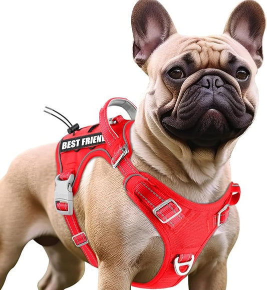 BARKBAY Service Dog Vest Tactical Dog Harness Medium Large Sized Dog Tags Personalized No Pull Adjustable Harness Reflective K9 Working Training Easy Control Military Molle System(Red,M)