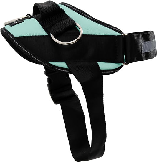 ShawnCo Essential Dog Harness, No-Pull Pet Vest with 3 Leash Clips, No Choke, Reflective, Adjustable and Padded, for Easy Walking and Training for Small, Medium and Large Dogs (Seafoam, M)