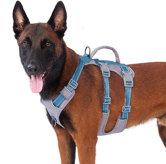 Huntboo Reflective Dog Harness with Handle, Escape Proof, No Slip, Breathable, Lightweight, Adjustable Lift Harness for Small, Medium, and Large Dogs Walking, Training, and Running Gear(Teal Blue,L)