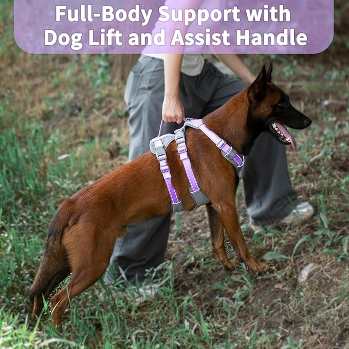 Huntboo Reflective Dog Harness with Handle, Escape Proof, No Slip, Breathable, Lightweight, Adjustable Lift Harness for Small,Medium,and Large Dogs Walking,Training,and Running Gear(Lavender Purple,M)