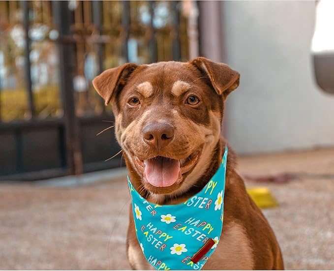 Realeaf Happy Easter Dog Bandanas 2 Pack, Reversible Pet Scarf for Boy and Girl, Premium Durable Fabric, Holiday Bandana for Small Medium Large and Extra Large Dogs (Small)