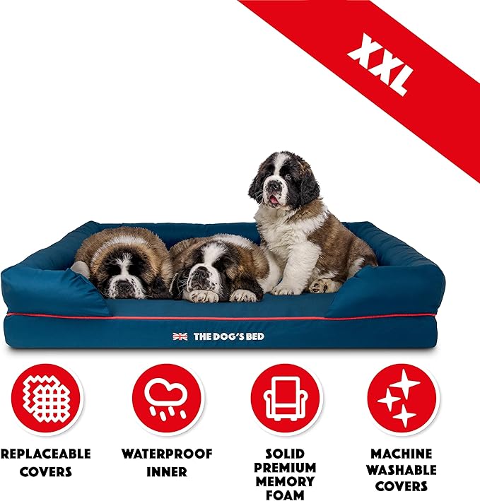 The Dog’s Bed Orthopedic Dog Bed XXL Blue Oxford with Red Trim UK Flag Dog Bed, Memory Foam, Pain Relief: Arthritis, Post Surgery, Lameness, Waterproof Washable Cover