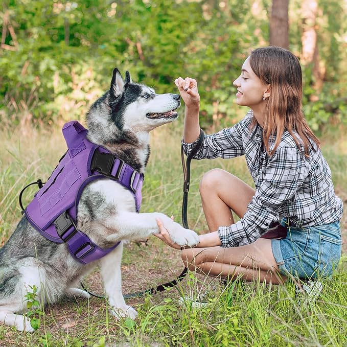 WINGOIN Purple Tactical Dog Harness for Medium Dogs, Heavy Duty No Pull Dog Harness with Handle, Adjustable Reflective Military K9 Pet Vest for Pitbull, Female, Male, Walking, Training, Hunting (M)