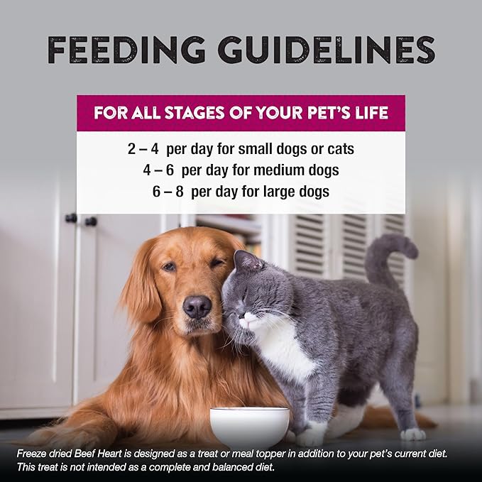 Northwest Naturals Raw Rewards Freeze-Dried Beef Heart Treats for Dogs and Cats - Bite Sized Pieces - Grain Free - 1 Ingredient - Healthy - Human Grade - All Natural - USA Made - 3 Oz