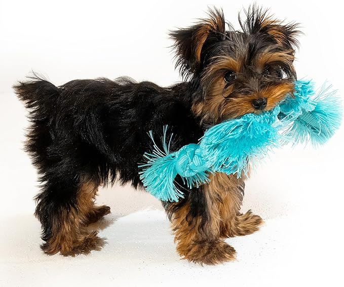 Playology Dog Toys | Puppy Toy Sensory Rope Tug of War Rope for Dogs and Puppies | Small Peanut Butter Scented Toy - Easy to Clean and Made from Non Toxic Materials