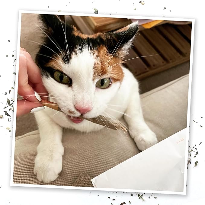 Meowijuana Cloud 9 Bundle | King Size Catnip Joints and Meowi-Waui | Hand Harvested and Rolled Dried High Potency Catnip | Grown in North America