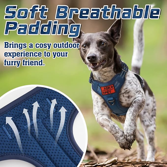 rabbitgoo Dog Harness No Pull, Military Dog Harness Medium Sized Dog with Handle & Molle, Easy Control Service Dog Vest Harness Training Walking, Adjustable Reflective Tactical Pet Harness, Blue, M