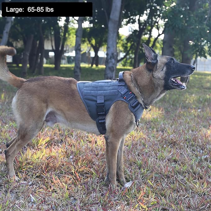 ICEFANG Tactical Dog Harness, Large Size,2X Metal Buckle,Working Dog MOLLE Vest with Handle,No Pulling Front Leash Clip,Hook and Loop Panel (Grey,L (Pack of 1))