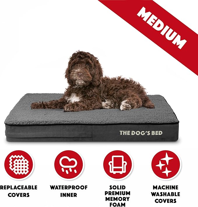 The Dog’s Bed Orthopedic Memory Foam Dog Bed, Dark Grey Plush Medium, Pain Relief for Arthritis, Hip & Elbow Dysplasia, Post Surgery, Lameness, Supportive, Calming, Waterproof Washable Cover