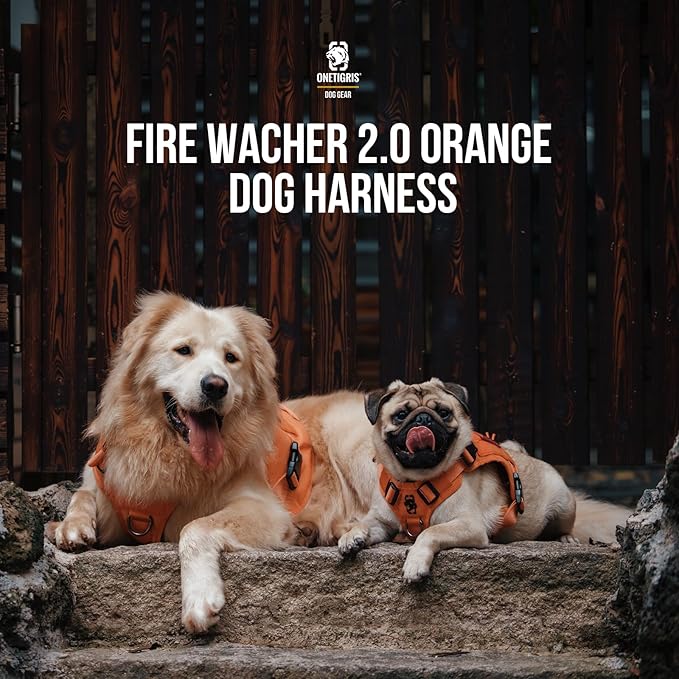 OneTigris Tactical Dog Harness Vest,No-Pull Service Dog Vest with Hook & Loop Panels,Adjustable Dog Vest Harness for Walking Hiking Training(Orange,L)
