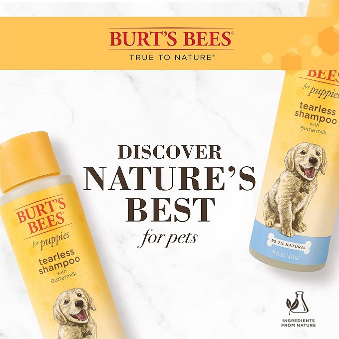 Burt's Bees for Pets Naturally Derived Tearless Puppy Shampoo with Buttermilk - Shampoo for Dogs and Puppies - Puppy Shampoo Gentle on Skin and Fur - Cruelty Free, Made in USA, 16 Ounces - 2 Pack