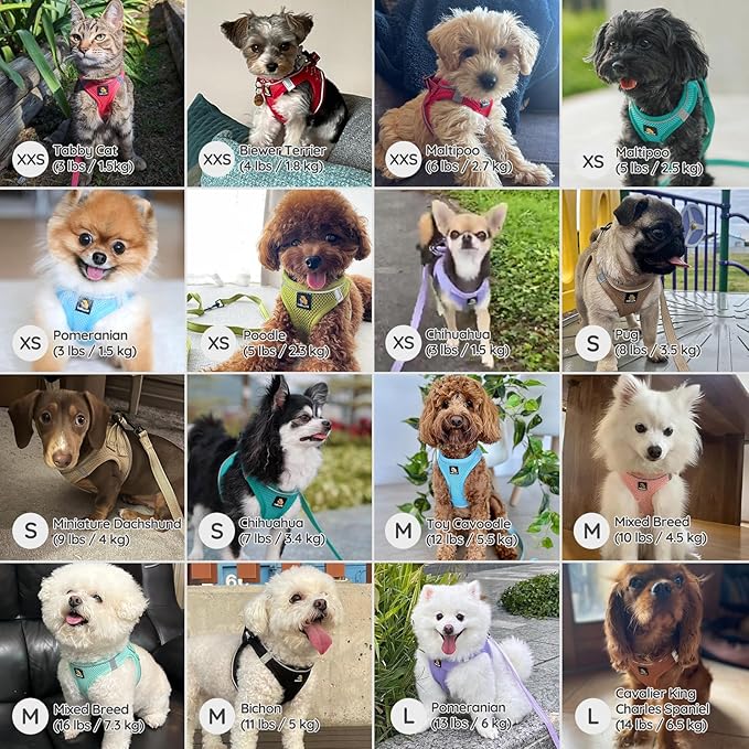 BELLA & PAL Step in Vest Harness for Small and Medium Dogs, No Pull Small Dog Harness with Leash Set, Comfortable Air Mesh Dog Vest Harness with Reflective Strip (Mokka, S)