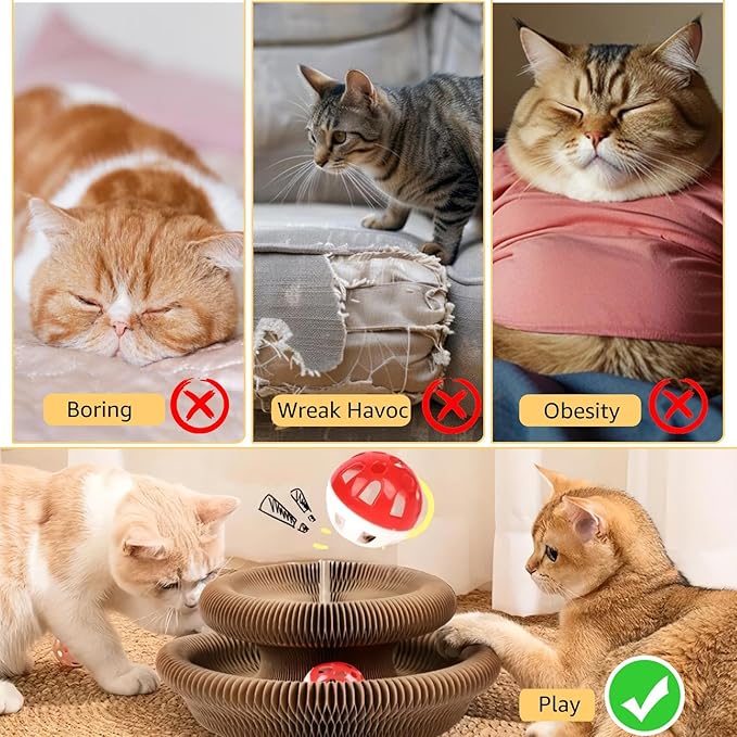 Cat Toy, Magic Organ Cat Scratch Board, Compact Cats Accordion Toy, Interactive Cardboard Cat Scratcher Pad Toys with Bell Ball for Indoor Exercise