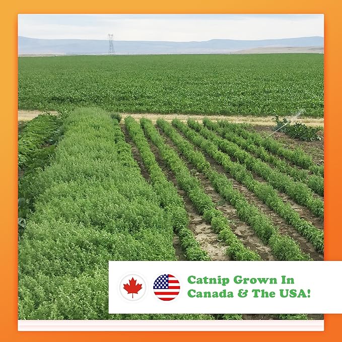 Meowijuana Catnip Rollies King Size | Hand Harvested and Rolled Dried Premium Ground Catnip | High Potency | Grown in North America | Feline and Cat Lover Approved