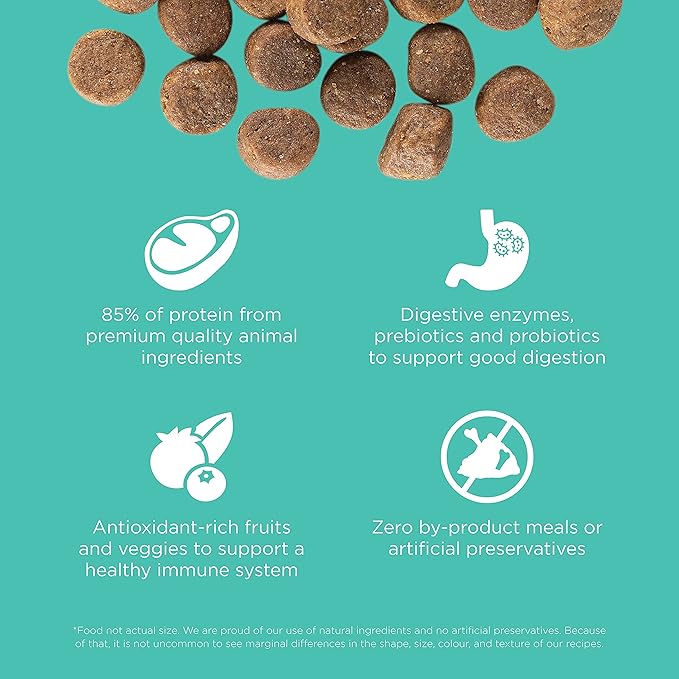 Go! Solutions Carnivore, Grain-Free, Protein Rich Dry Dog Food, Chicken, Turkey and Duck Adult Recipe, 3.5 lb Bag