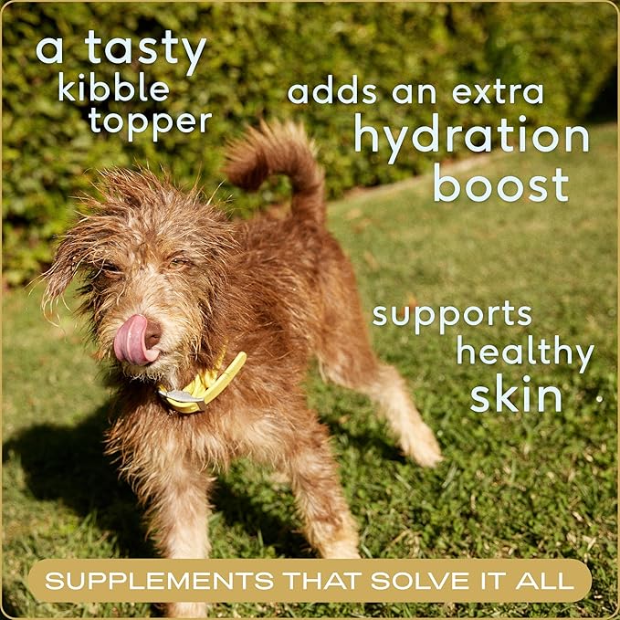 Native Pet Bone Broth for Dogs and Cats - Chicken Bone Broth Powder Dog Food Toppers for Picky Eaters - Provides Extra Nutrition for Joint Strength, Immune Support & Heart Health - 192 Scoops