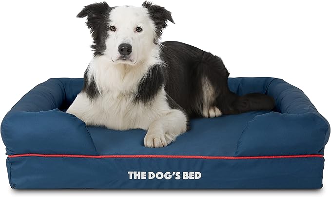 The Dog’s Bed, Large Oxford Blue/Red Memory Foam, Pain Relief: Arthritis, Hip & Elbow Dysplasia, Post Surgery, Lameness, Supportive, Calming, Waterproof Washable Cover