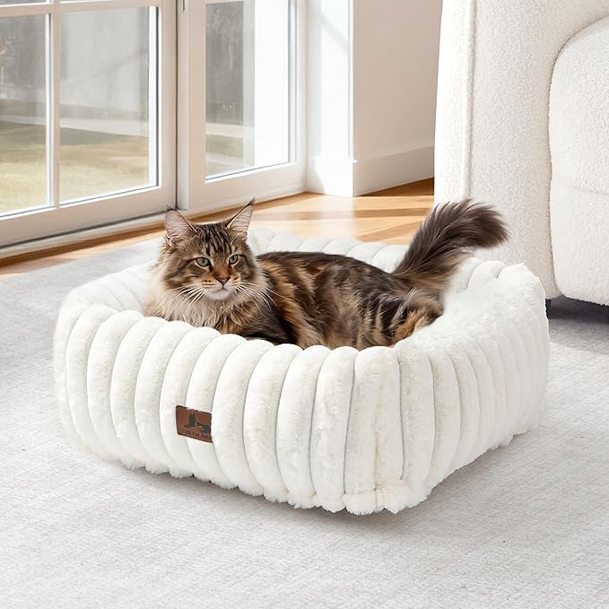 Orthopedic Dog Bed for Small Medium Dogs - Washable Rectangle Corduroy Fleece Pet Bed with Removable Cover and Nonskid Bottom, Calming Puppy Bed Soft Pet Sofa, Cream(20x19x6inchs)