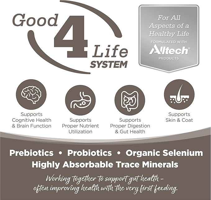 NutriSource Dry Dog Food for Seniors, Chicken and Rice, 26LB