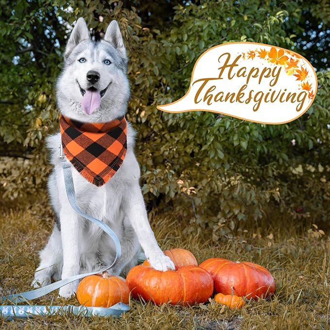 Kytely Thanksgiving Fall Dog Bandana 2 Pack, Autumn Dog Bandanas X-Large, Orange Plaid Pet Scarf for Boy and Girl, Holiday Halloween Reversible Triangle Bibs Accessories for Dogs Pets