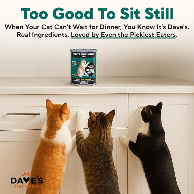 Dave's Pet Food Grain Free Canned Cat Food (Turkey & Giblets Pate), Made in USA Naturally Healthy Canned, Canned Pate, 12.5 oz Cans (12 Pack)