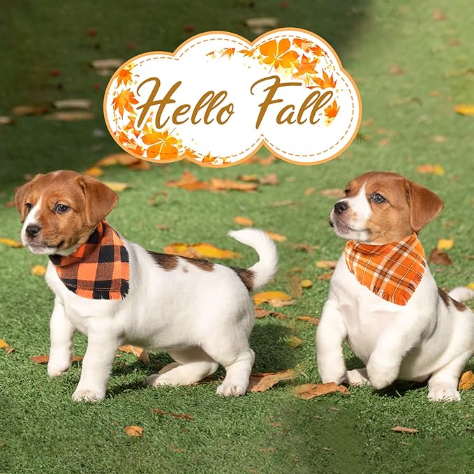 Kytely Thanksgiving Fall Dog Bandana 2Pack, Autumn Dog Bandanas, Orange Plaid Pet Scarf for Boy and Girl, Holiday Halloween Reversible Triangle Bibs Accessories for Dogs Pets(Small)