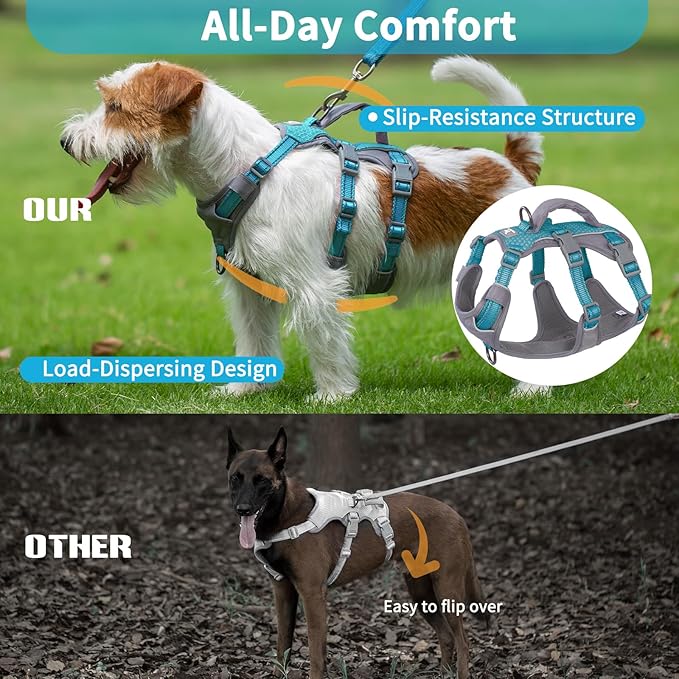 Huntboo Reflective Dog Harness with Handle, Escape Proof, No Slip, Breathable, Lightweight, Adjustable Lift Harness for Small, Medium, and Large Dogs Walking, Training, and Running Gear(Teal Blue,S)