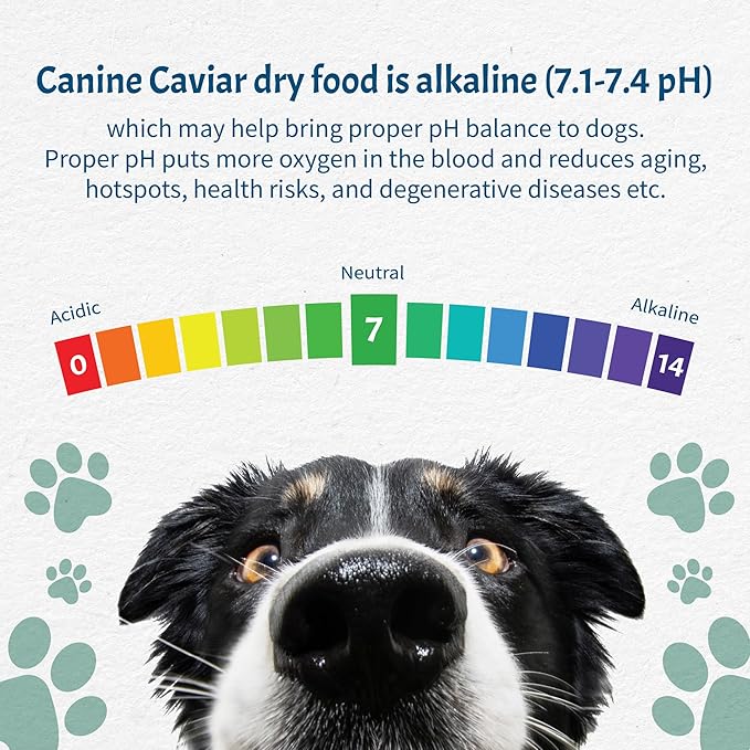 Canine Caviar - Open Sky: Duck & Teff Alkaline Dry Dog Food, Limited Ingredients, Gluten-Free, Based on Science & Research, Veterinary Alternative Diet (22 Pound Bag)